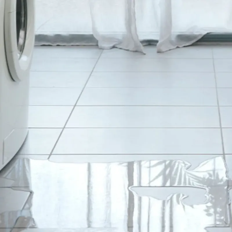 Appliance Leak Cleanup in Spirit Lake, IA