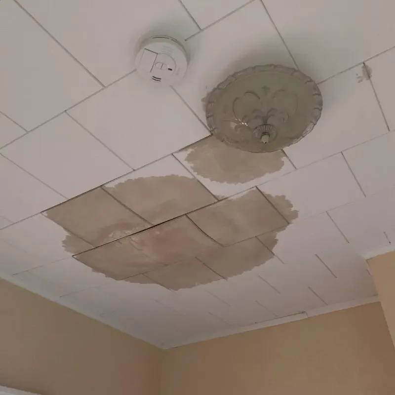 Ceiling Water Damage Repair in Spirit Lake, IA