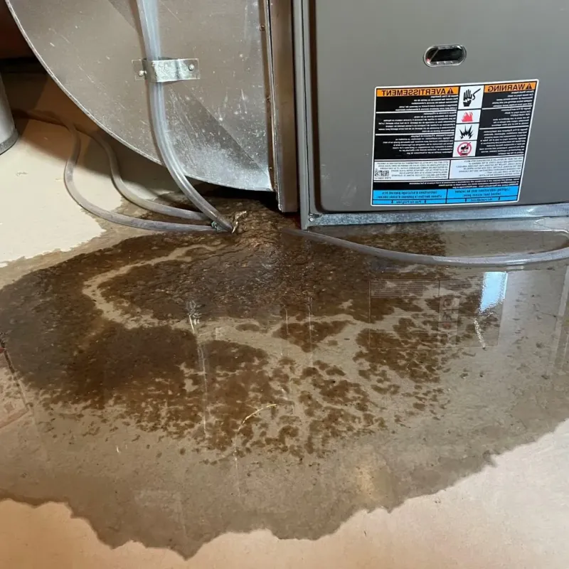 Pipe Burst and Leak Restoration in Spirit Lake, IA