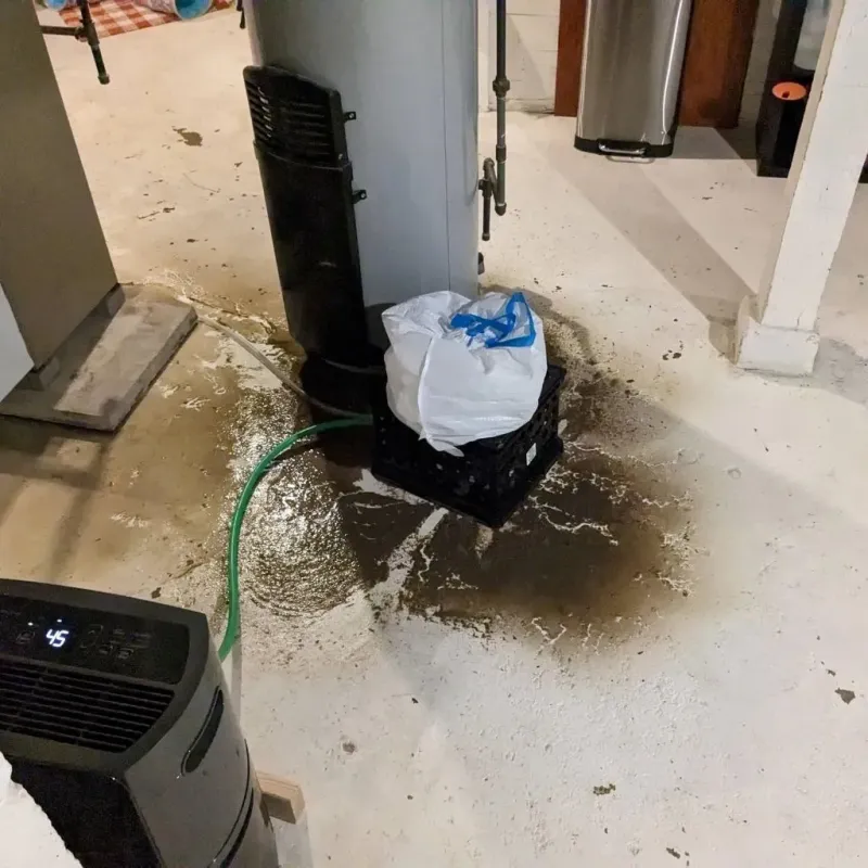 Sewage Backup Cleanup Service in Spirit Lake, IA